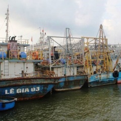 Tàu cá nằm bờ thoi thóp, Bình Định cầu cứu Thủ tướng